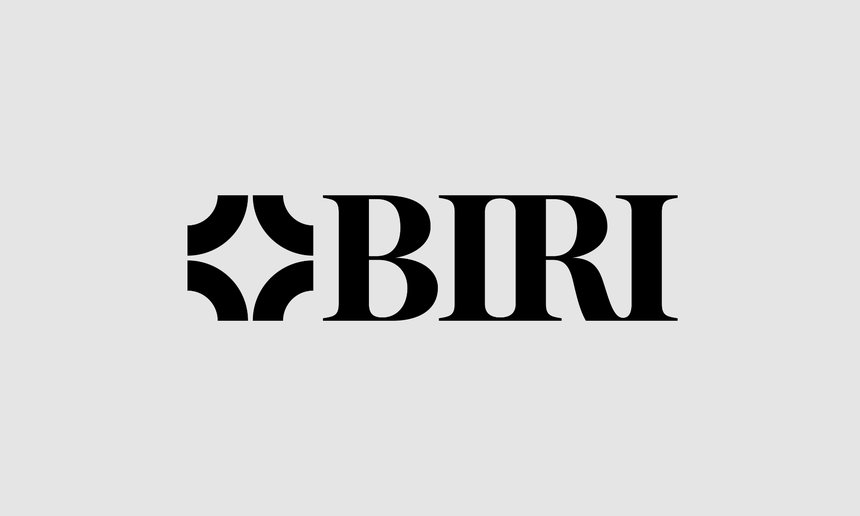BIRI Digital Coordination and Strategy Project Digital Archivist