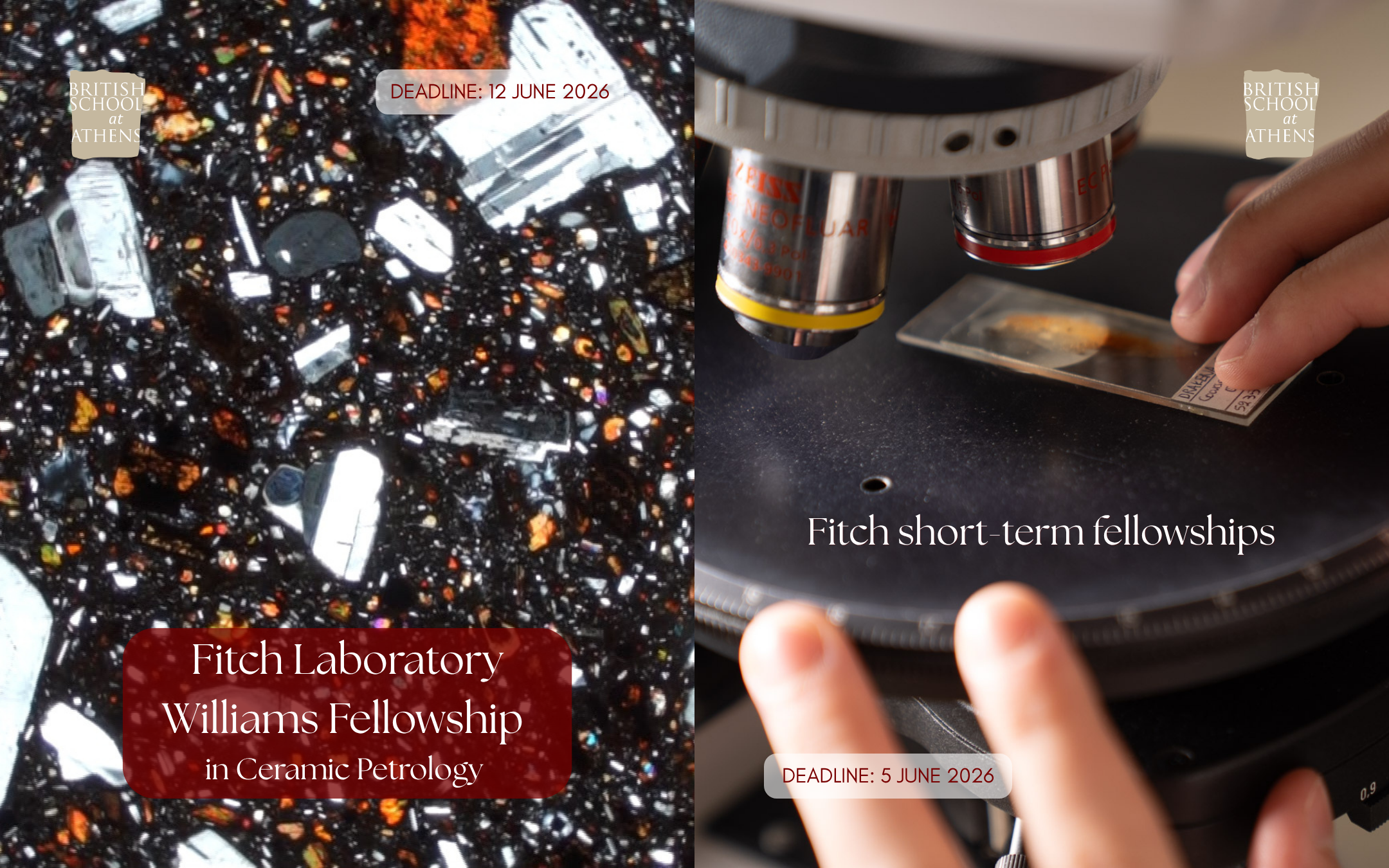Opportunities at the Fitch Lab